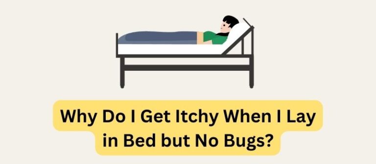 Why Do I Get Itchy When I Lay in Bed but No Bugs?